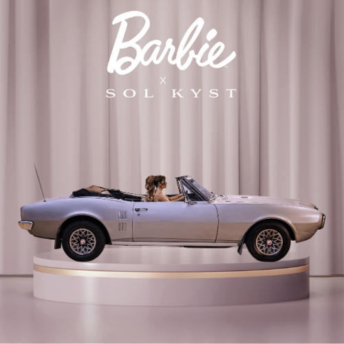 Barbie Collectors Bundle - FINAL SALE