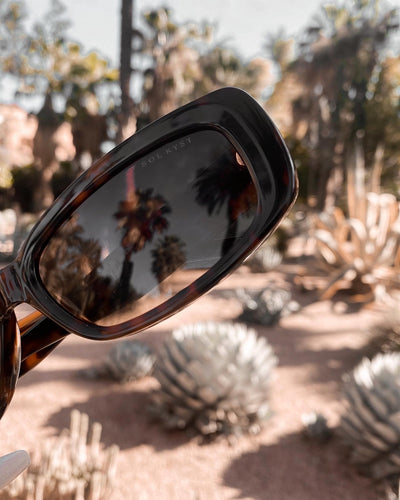 sunglasses, rectangle silhouette, tort frame, smokey brown lens, wide face sunglasses, wide face petite, slightly wider than standard, midi sunglasses, mini sunglasses, slightly smaller than standard - shown held close up, with one lens in the frame, reflecting palm trees, and out of focus palm trees and cactus in the background