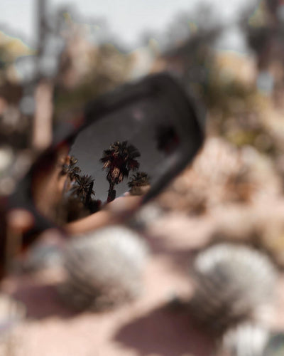 sunglasses, rectangle silhouette, tort frame, smokey brown lens, wide face sunglasses, wide face petite, slightly wider than standard, midi sunglasses, mini sunglasses, slightly smaller than standard - shown held close up, with one lens in the frame, in focus is the reflecting palm trees, and out of focus palm trees and cactus in the background